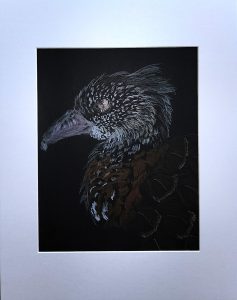 Orange Breasted Bird, matted pen and ink drawing by ASPIE artist Trish Barsby of a bird on black paper